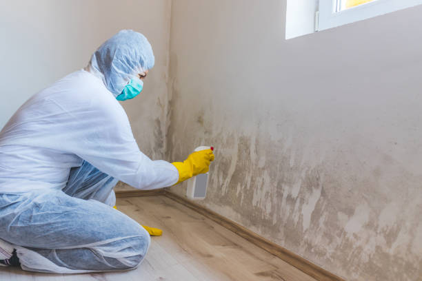 Crawl Space Mold Removal in Montz, LA
