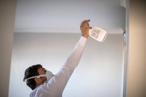 Best Mold Removal Company Near Me  in Montz, LA