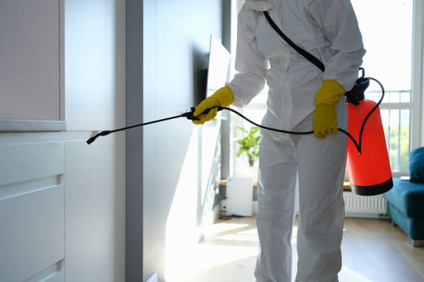 Best Residential Mold Removal  in Montz, LA