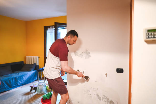 Professional Mold Removal in Montz, LA