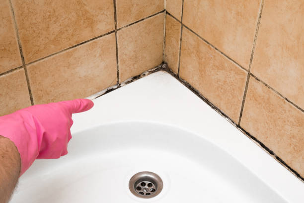 Best Certified Mold Removal  in Montz, LA